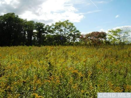 134 Lockwood Road Livingston, NY 12534 - Photo 3 of 15 a view of a lake