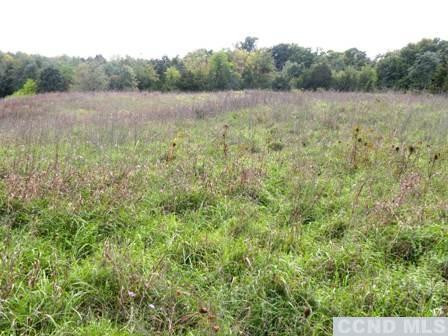 134 Lockwood Road Livingston, NY 12534 - Photo 5 of 15 a view of a lush green forest with a house