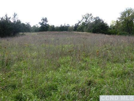 134 Lockwood Road Livingston, NY 12534 - Photo 6 of 15 a view of a field with trees in the background