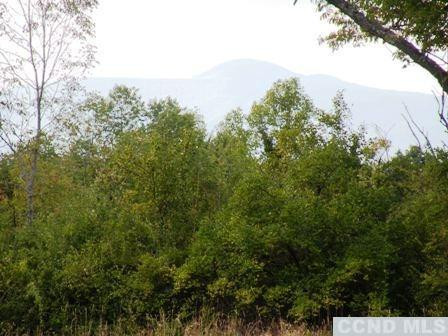 134 Lockwood Road Livingston, NY 12534 - Photo 7 of 15 a view of a yard with a tree in the background