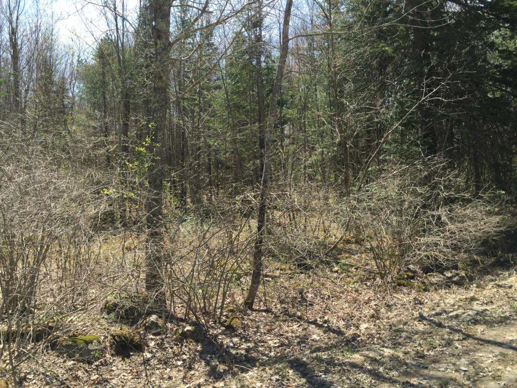 0 Fowles Road Searsmont, ME 04973 - Photo 6 of 6 Looking in at property from the road.