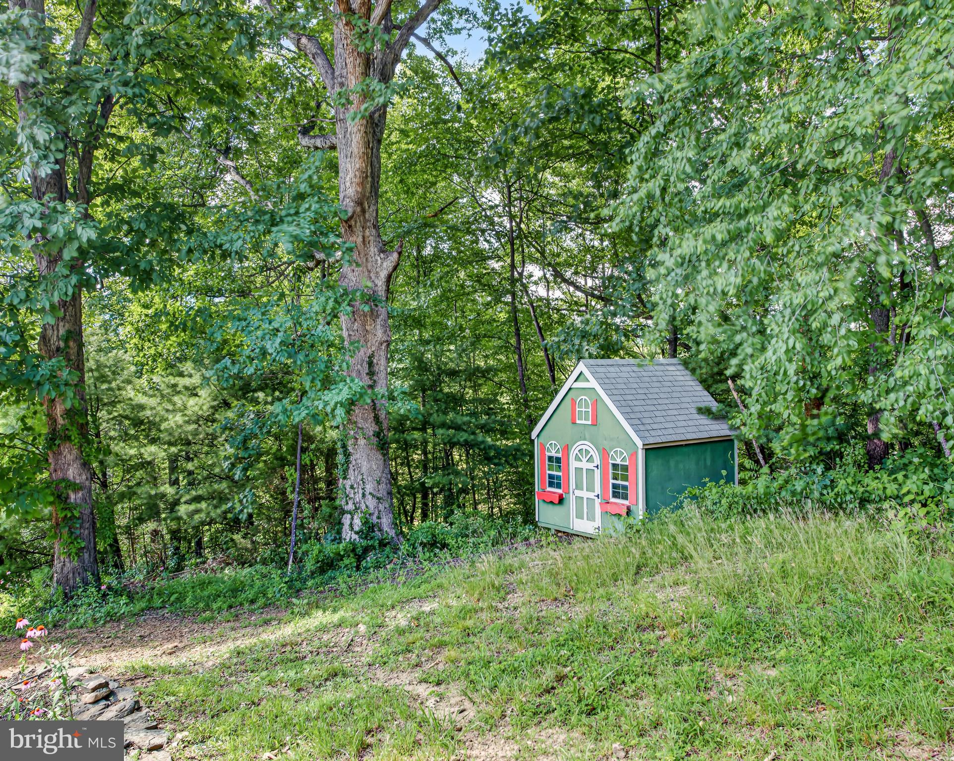 4028 South F T Valley Road Etlan, VA 22719 - Photo 81 of 101