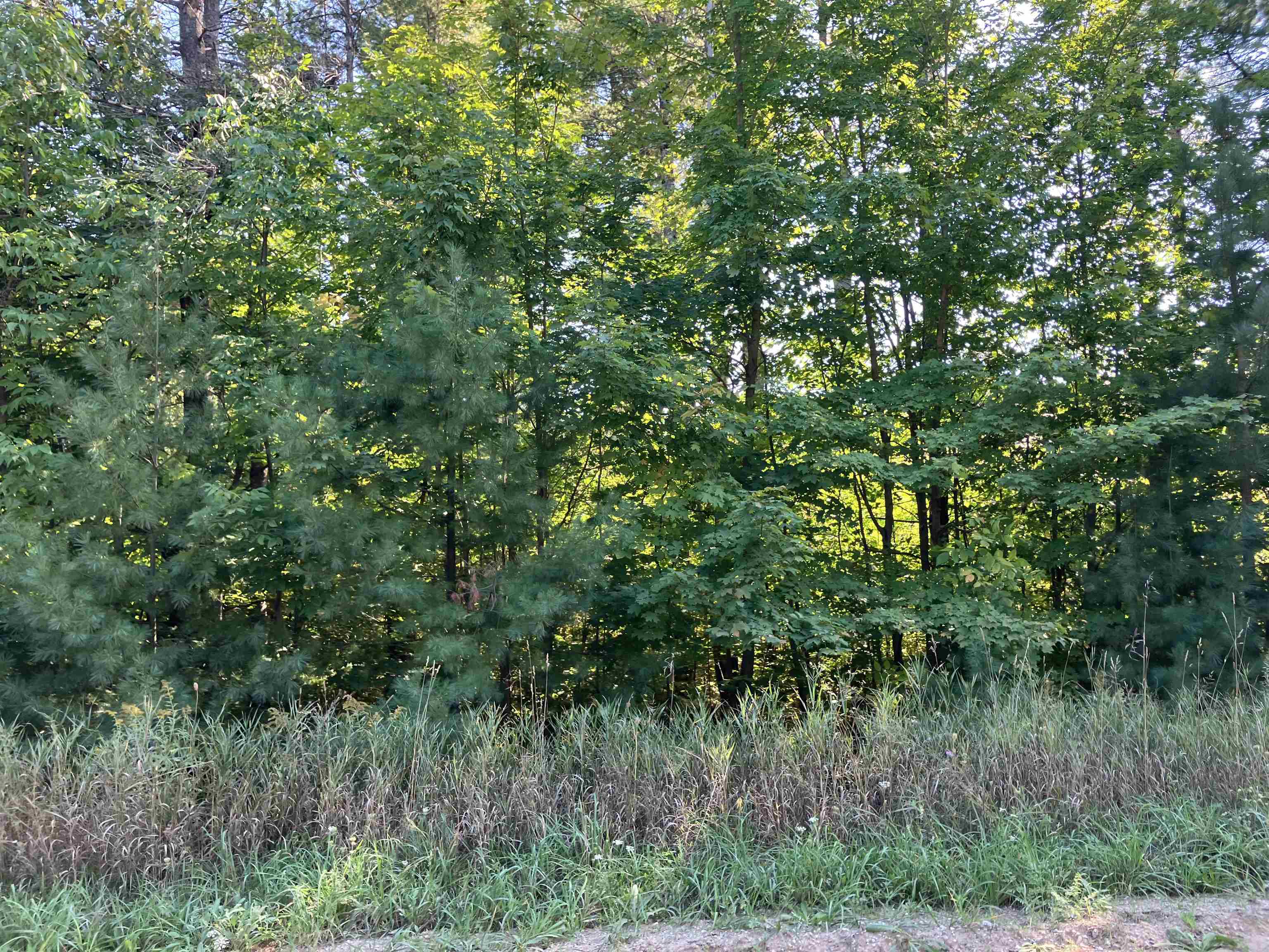 0 Cool Road Southeast, Unit LOT: A Kalkaska, MI 49646 - Photo 7 of 10