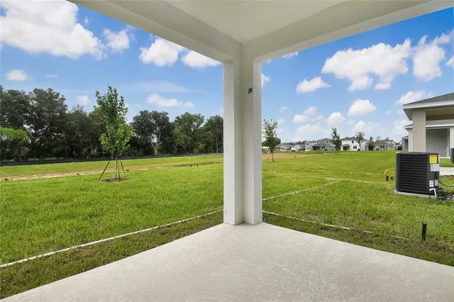 a view of a park with large trees