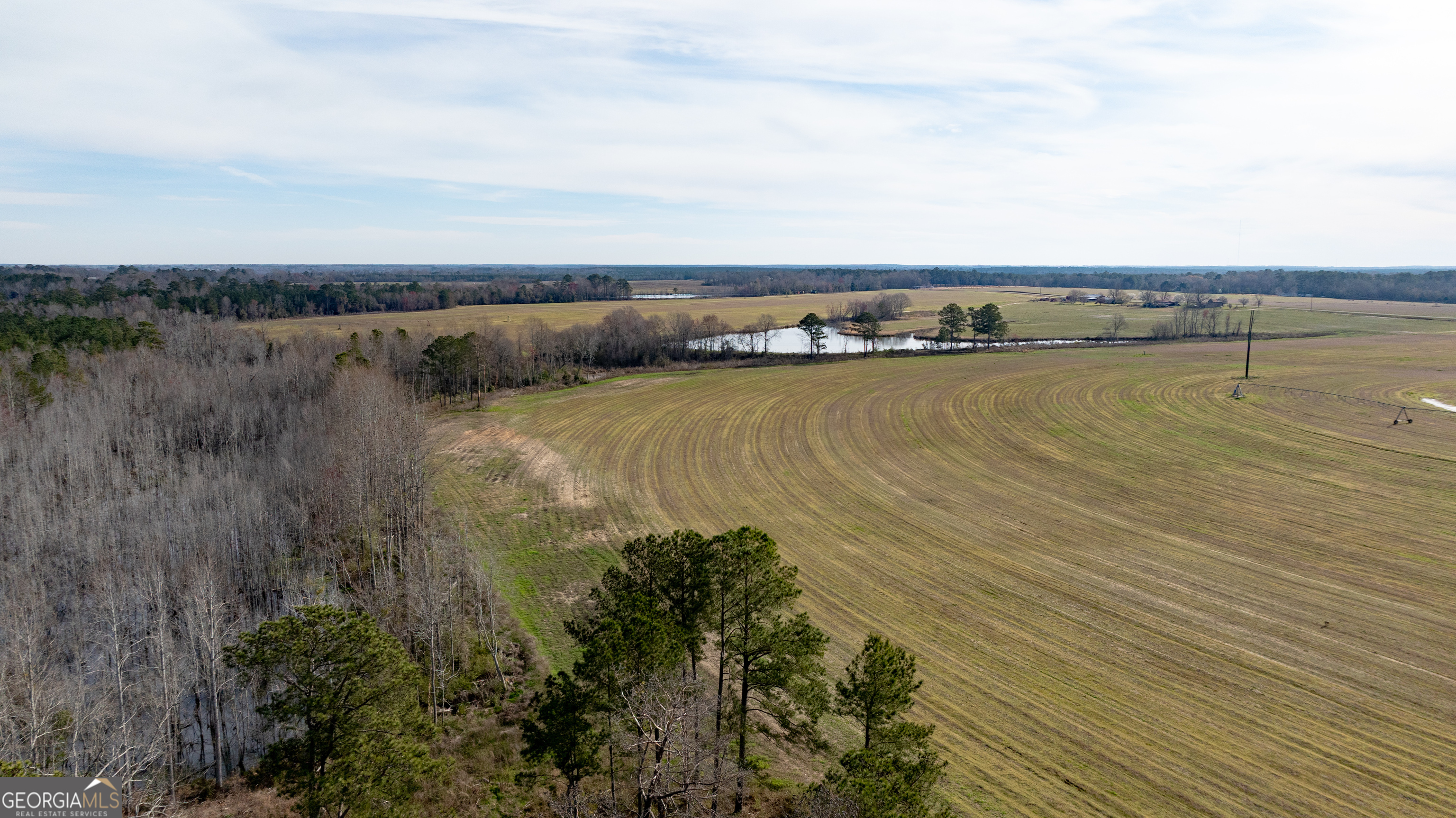 0 Hudson Jones Road Cochran, GA 31014 - Photo 11 of 20