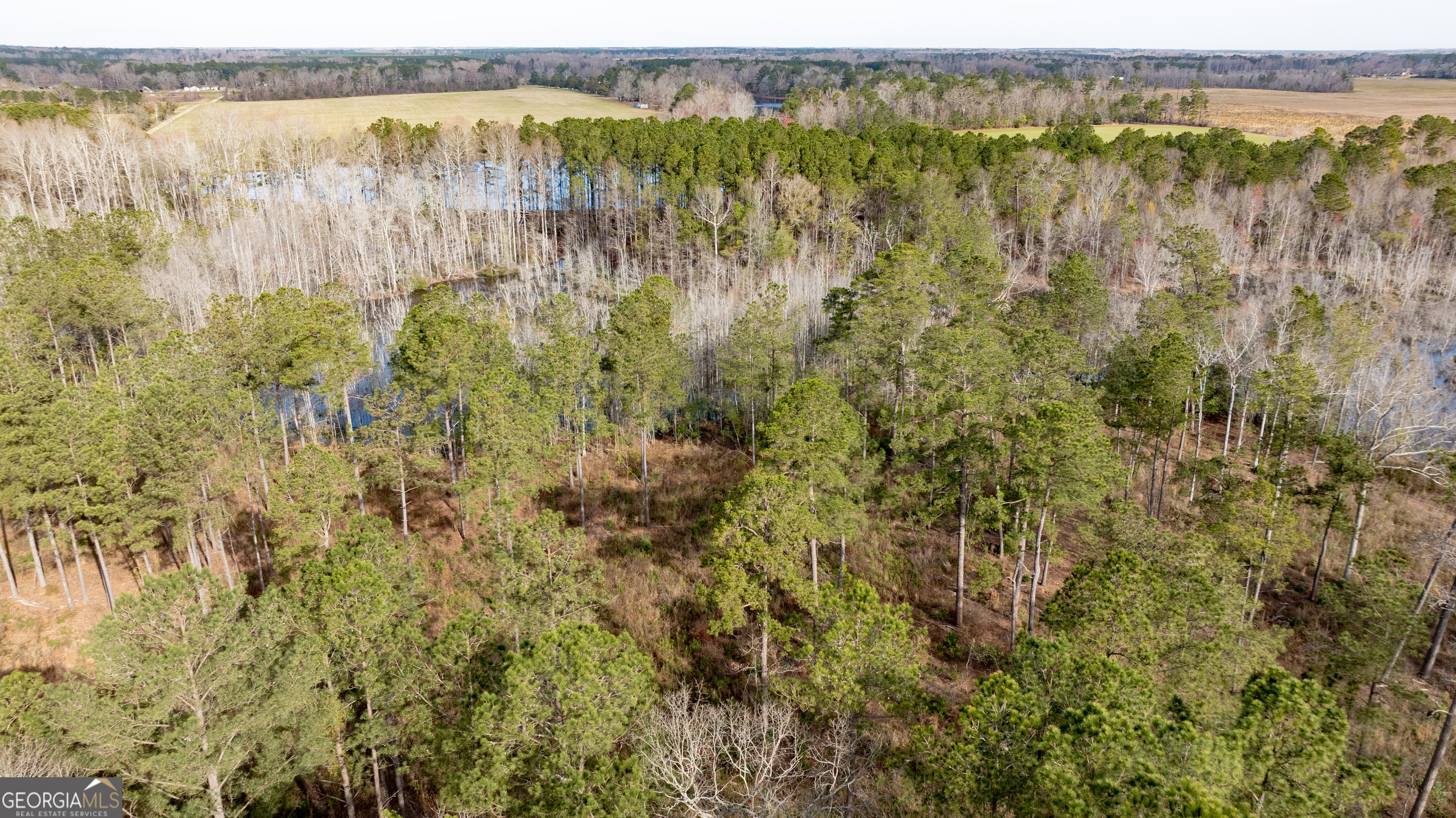 0 Hudson Jones Road Cochran, GA 31014 - Photo 12 of 20