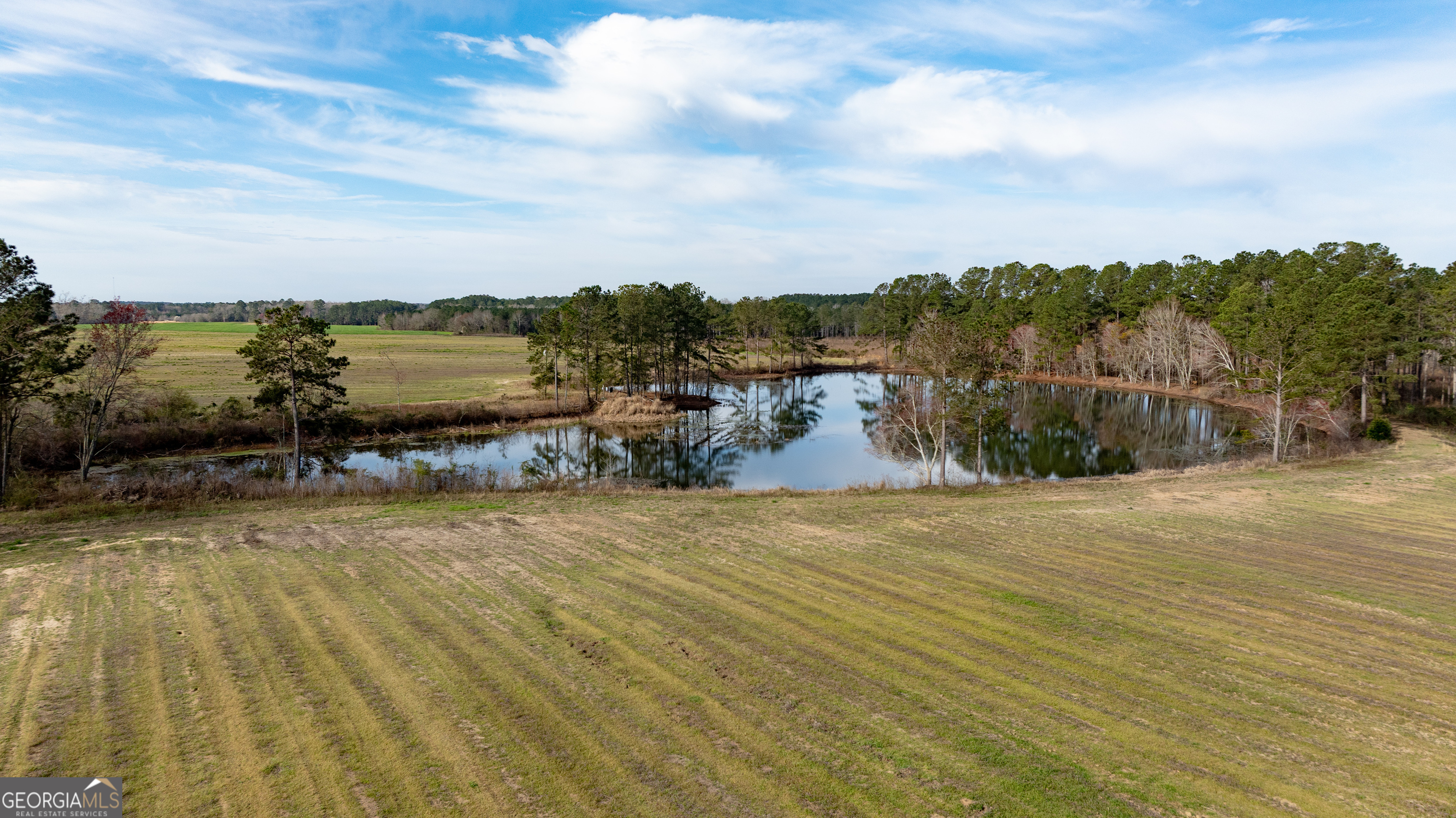0 Hudson Jones Road Cochran, GA 31014 - Photo 13 of 20