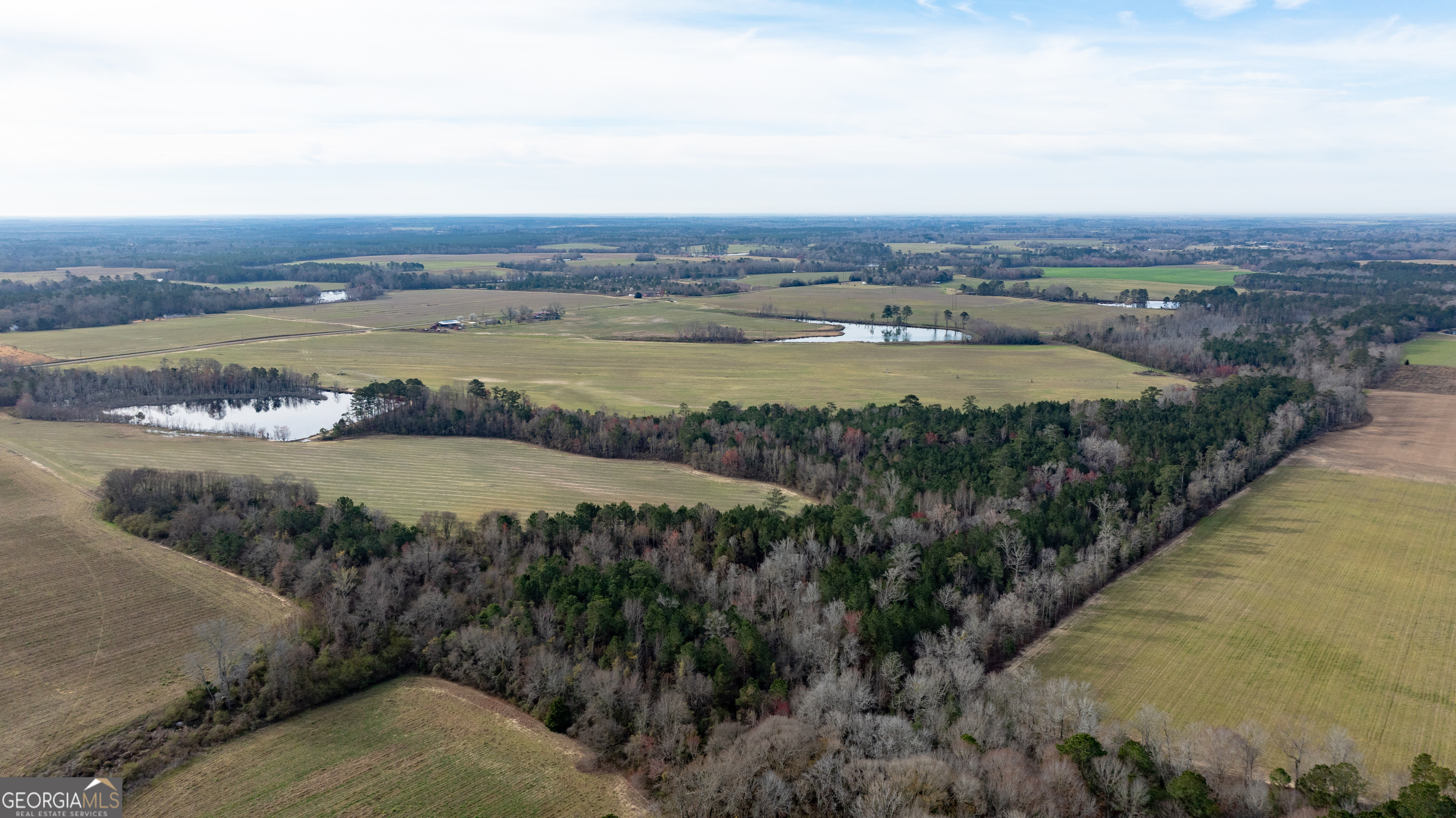 0 Hudson Jones Road Cochran, GA 31014 - Photo 17 of 20