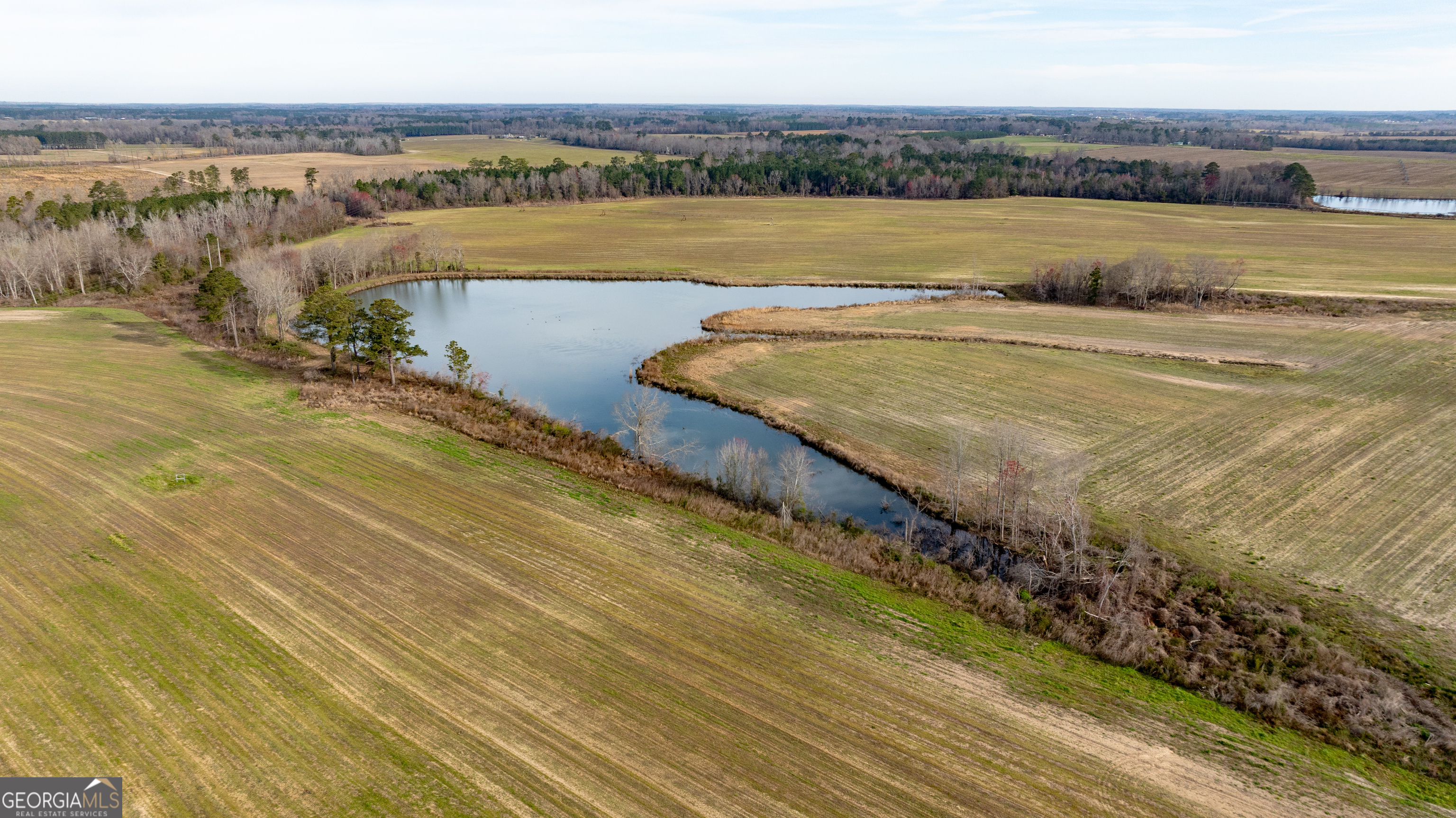 0 Hudson Jones Road Cochran, GA 31014 - Photo 19 of 20