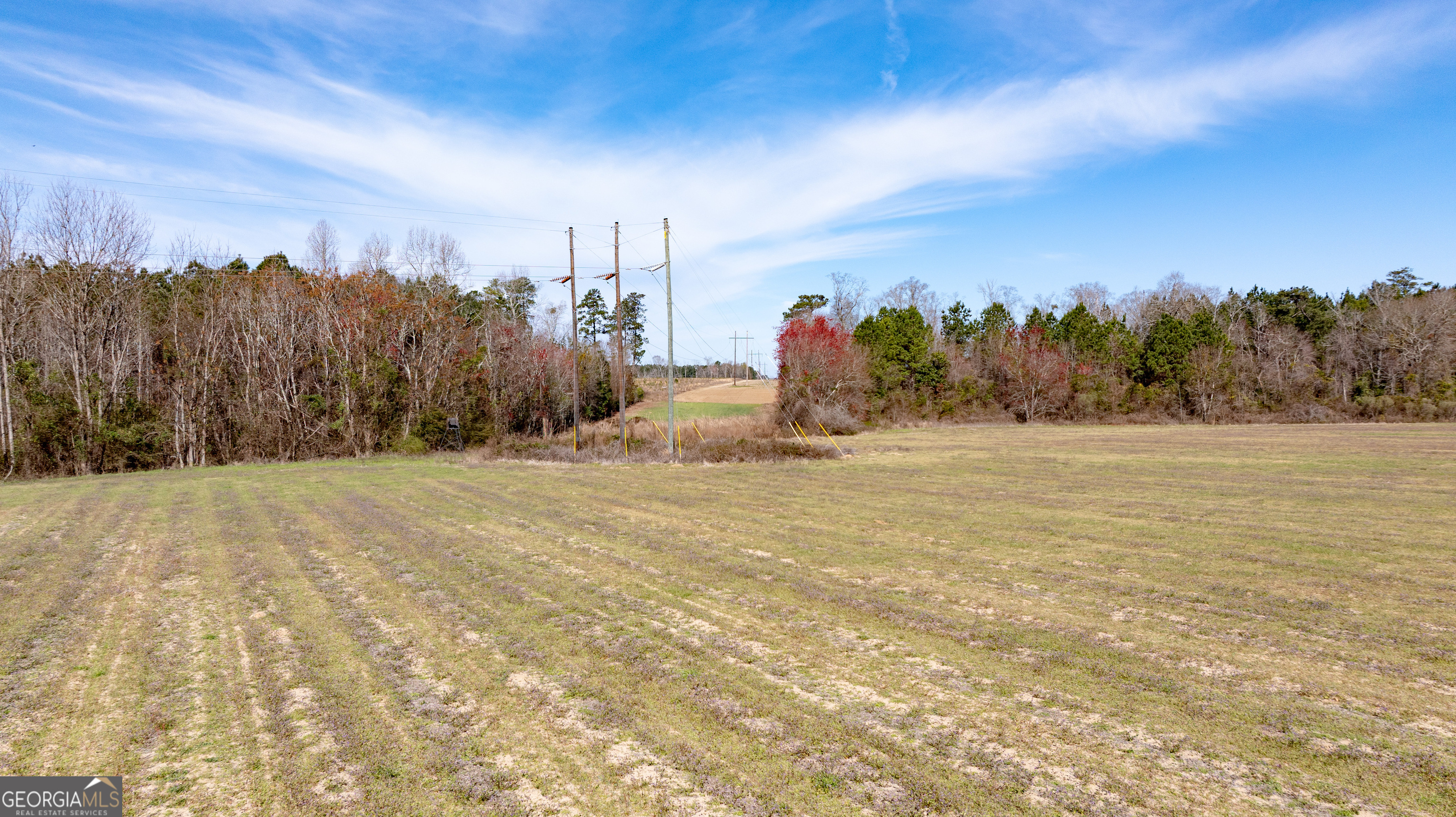 0 Hudson Jones Road Cochran, GA 31014 - Photo 2 of 20