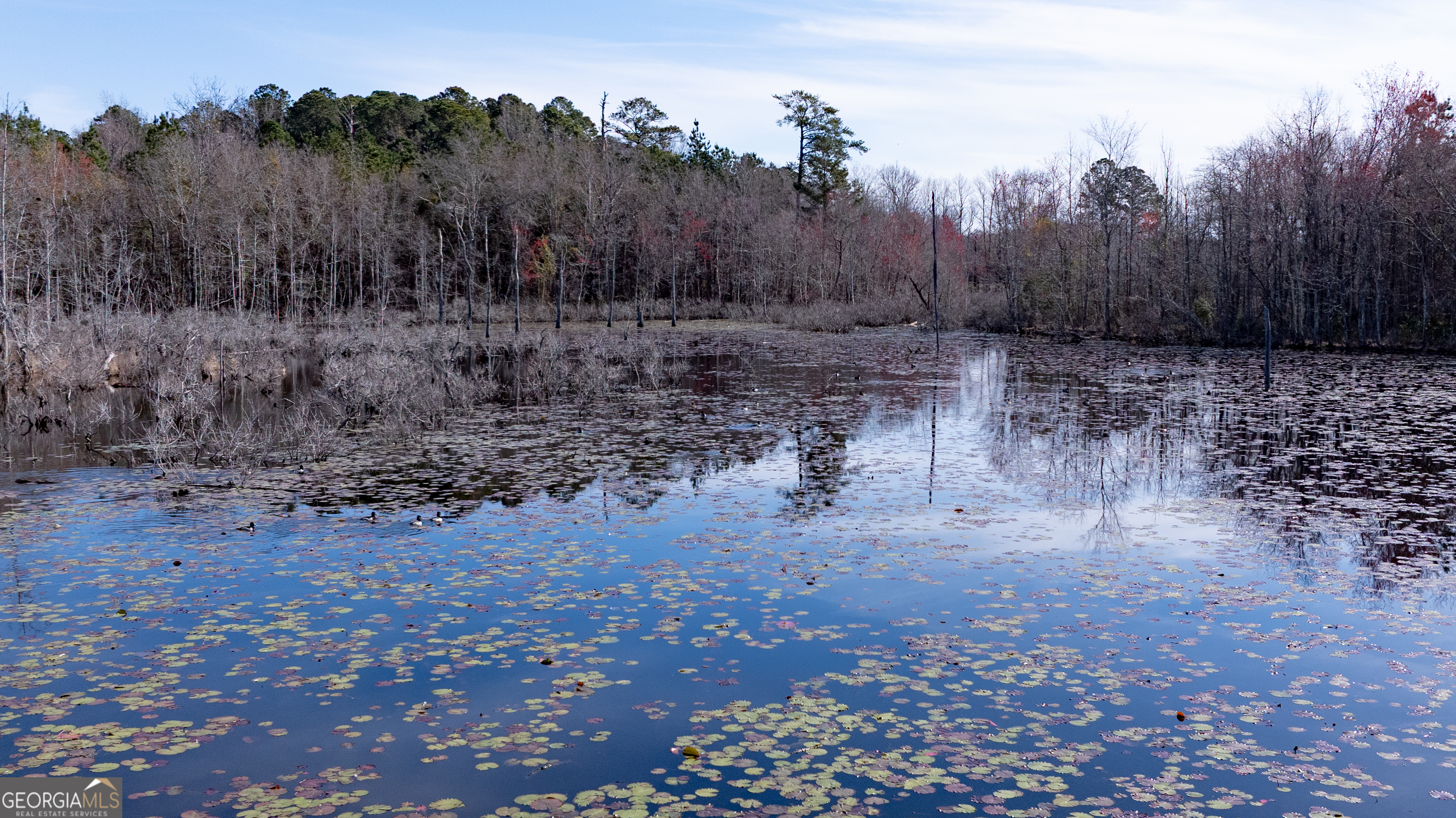 0 Hudson Jones Road Cochran, GA 31014 - Photo 4 of 20