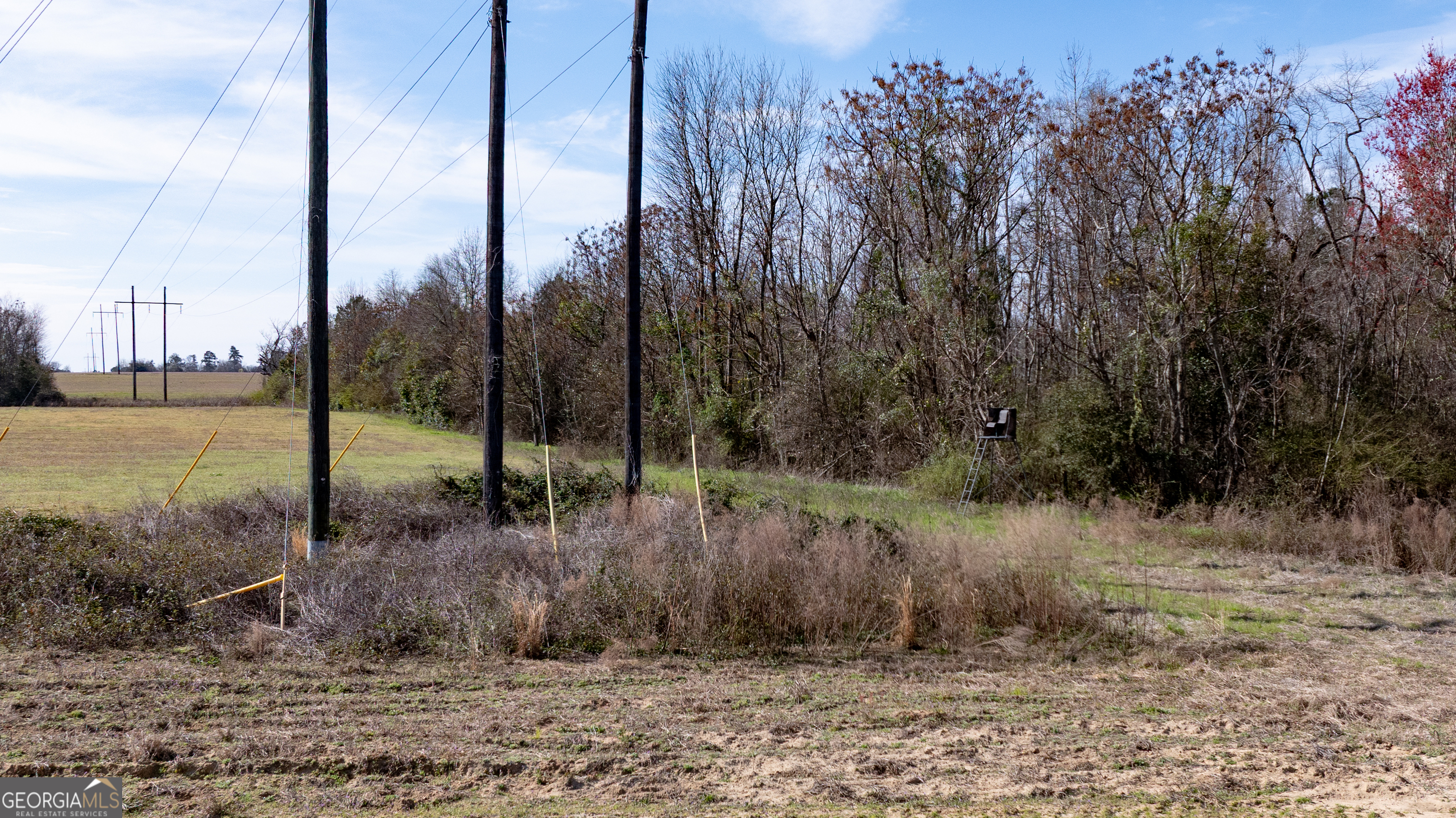 0 Hudson Jones Road Cochran, GA 31014 - Photo 5 of 20