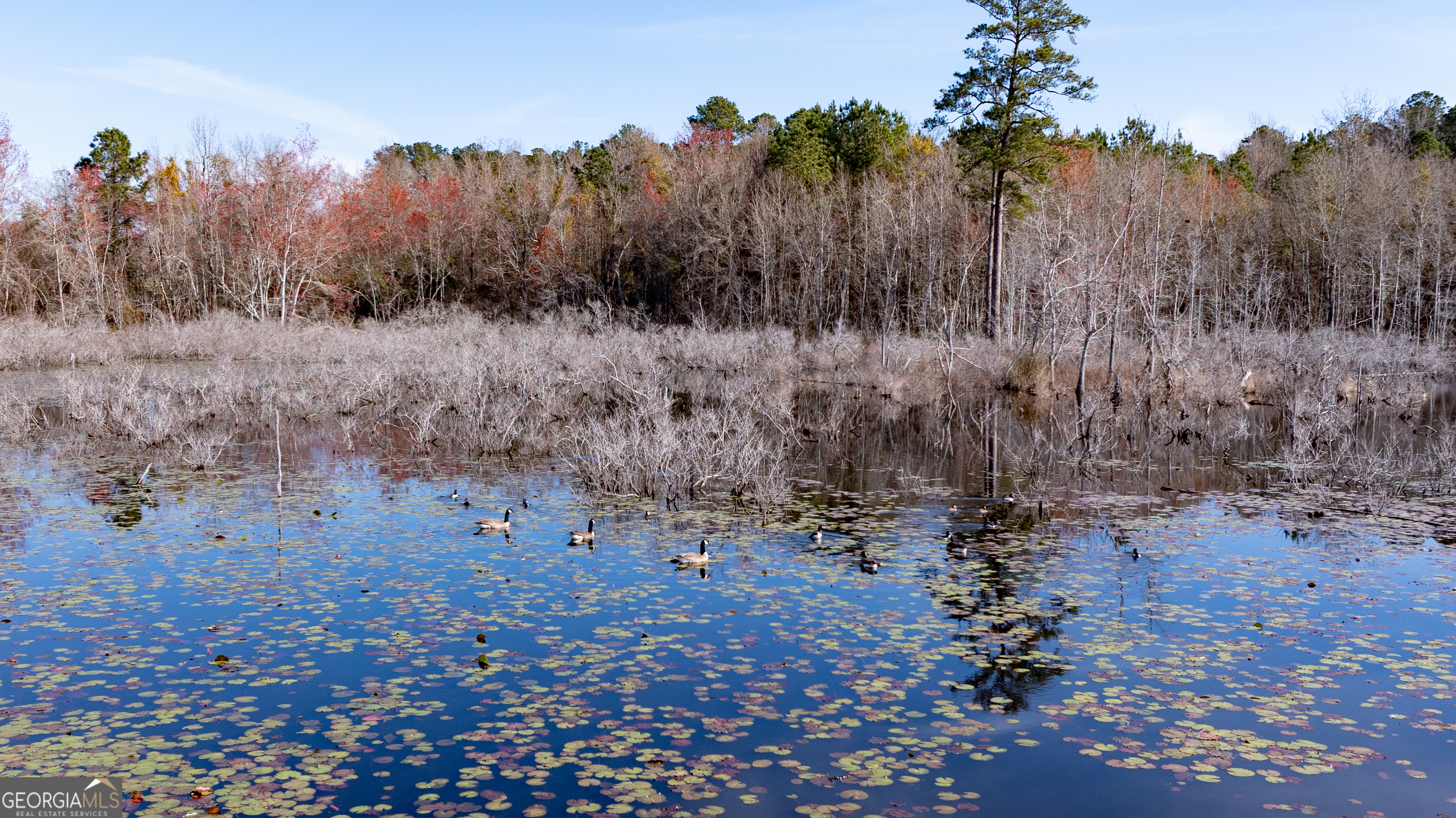 0 Hudson Jones Road Cochran, GA 31014 - Photo 7 of 20