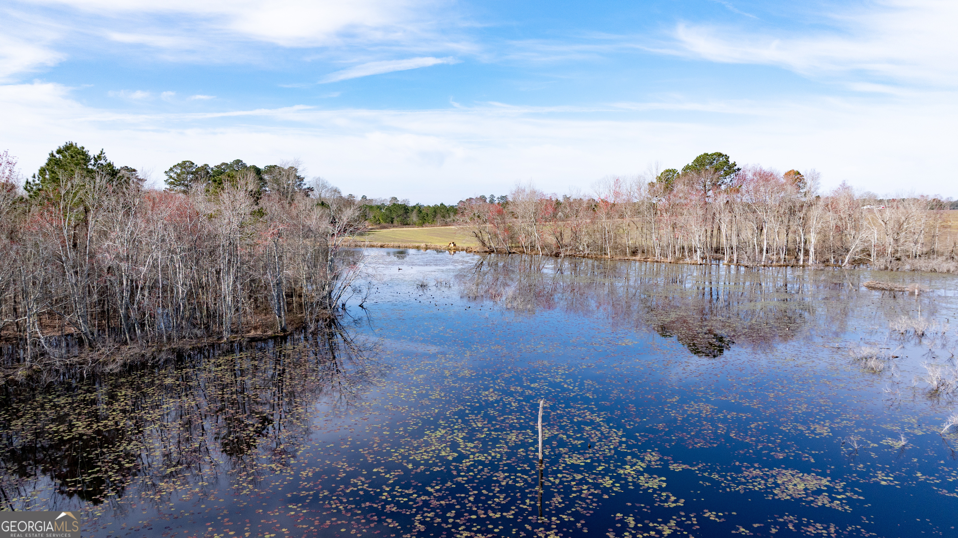 0 Hudson Jones Road Cochran, GA 31014 - Photo 8 of 20