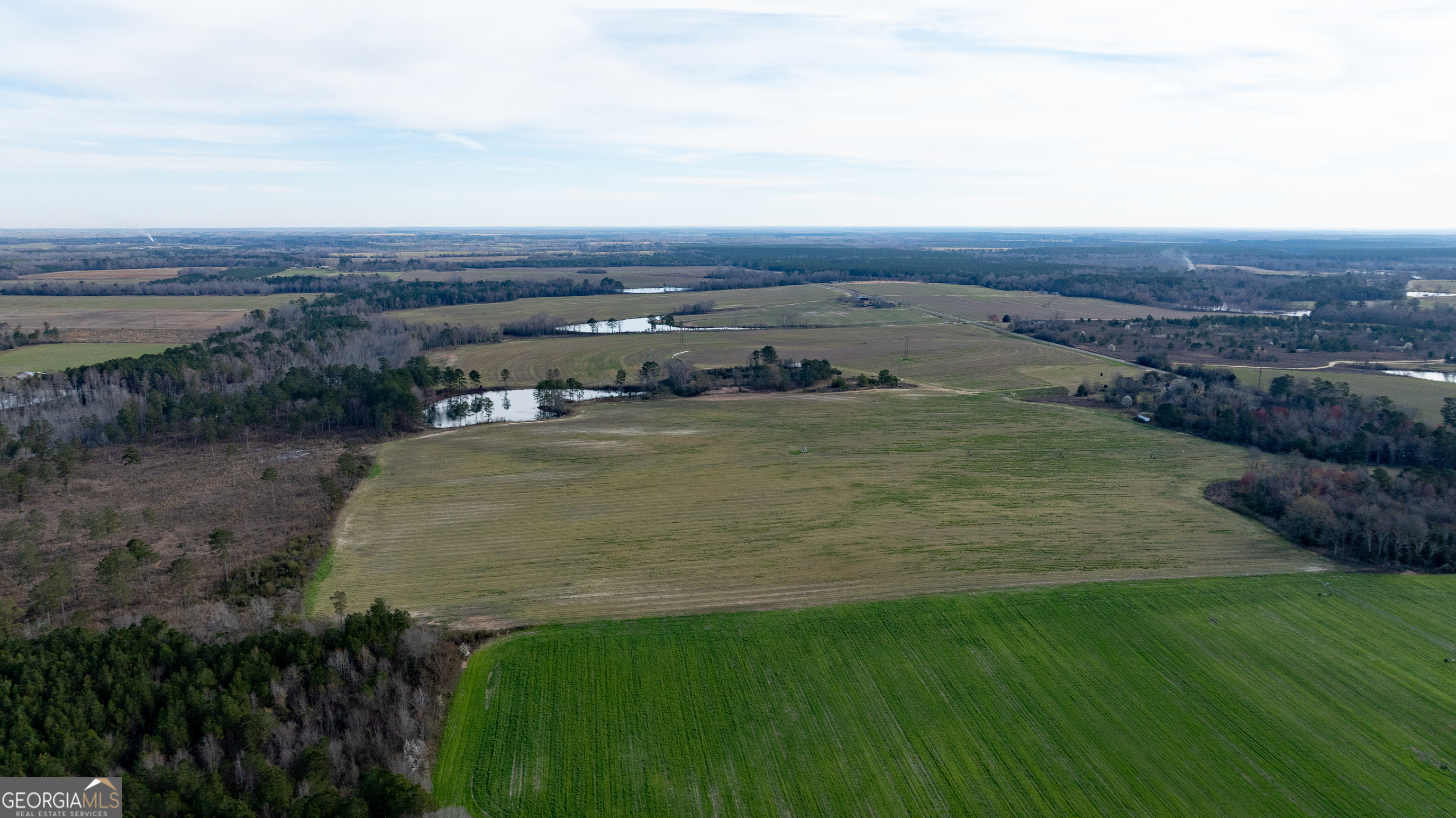 0 Hudson Jones Road Cochran, GA 31014 - Photo 9 of 20