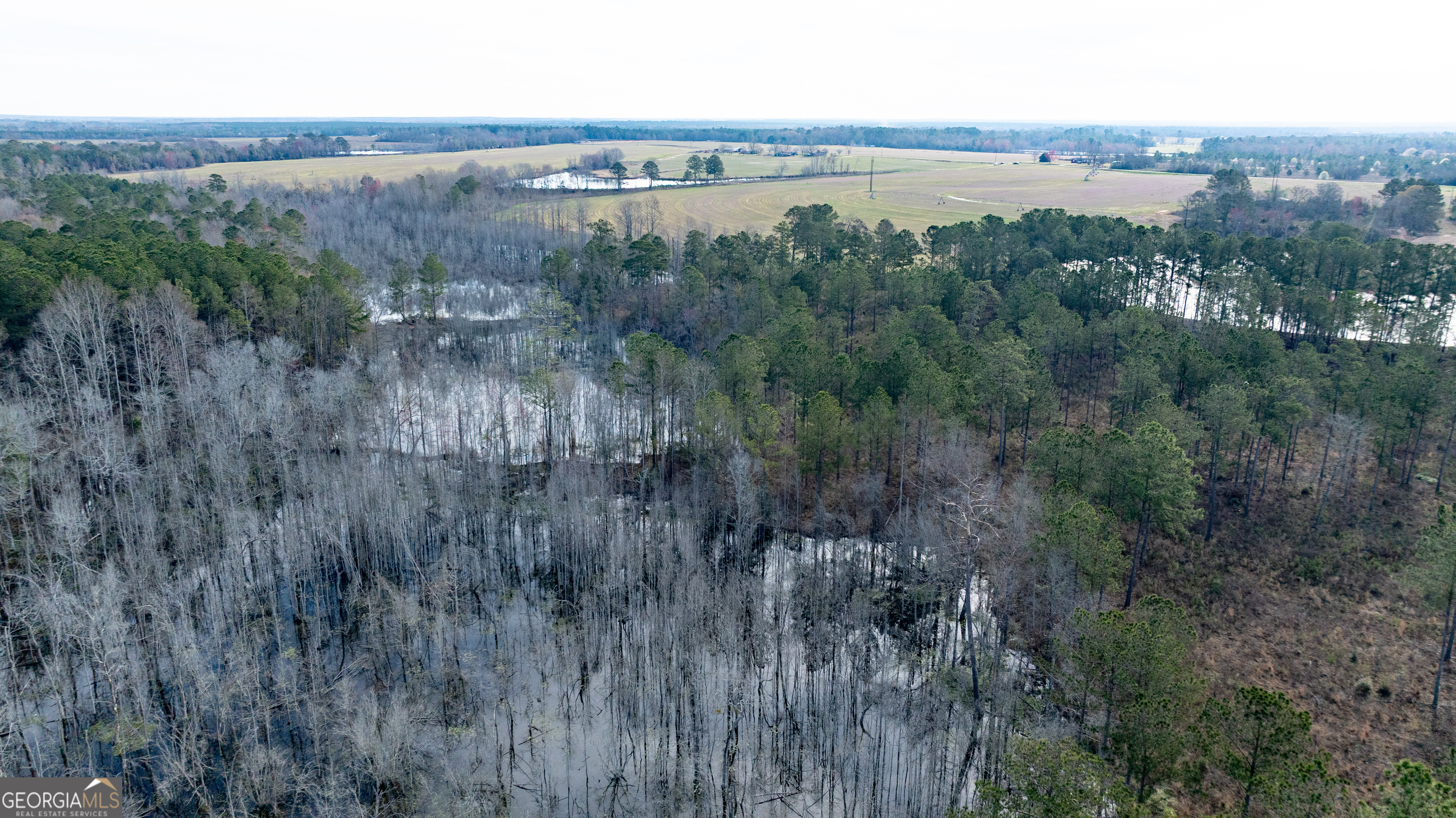 0 Hudson Jones Road Cochran, GA 31014 - Photo 10 of 20