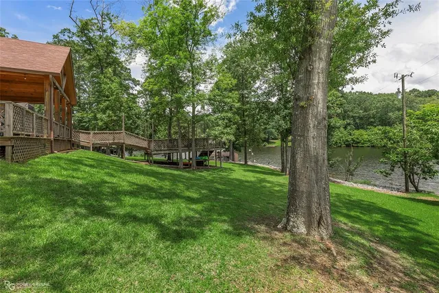 a view of a garden with a tree