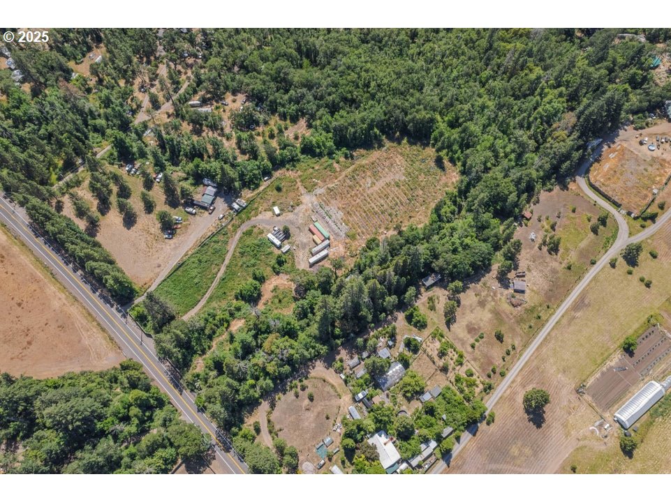 7902 Takilma Road Cave Junction, OR 97523 - Photo 3 of 3 a view of a yard with a tree