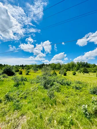$65,000 | Tbd Hawks Drive, Unit PARCEL C, Republic, MI 49879