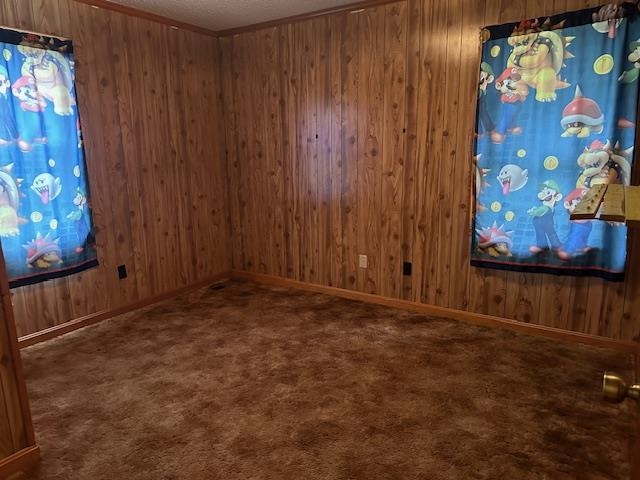 420 G B Plunk Road Selmer, TN 38375 - Photo 14 of 26 Spare room with carpet and wooden walls