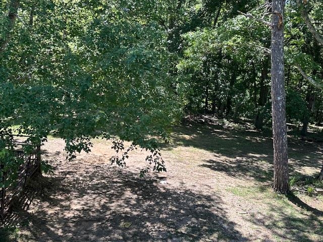 420 G B Plunk Road Selmer, TN 38375 - Photo 18 of 26 View of landscape