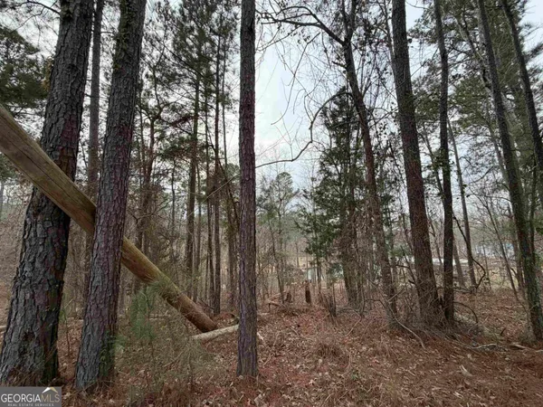 a view of mountain with trees in the background