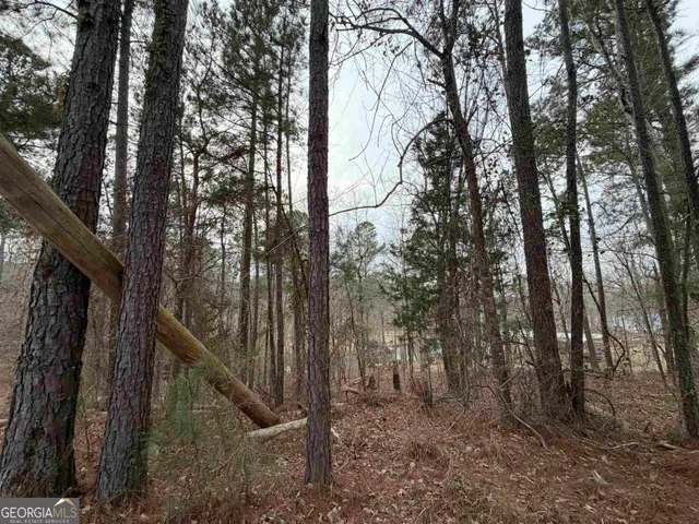 a view of mountain with trees in the background