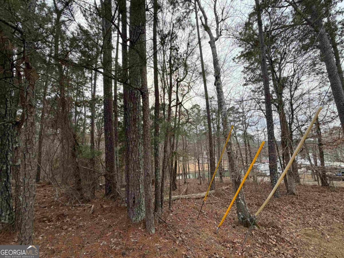 Lot 123 Lookout Trail Sparta, GA 31087 - Photo 13 of 16 a view of outdoor space with a tree