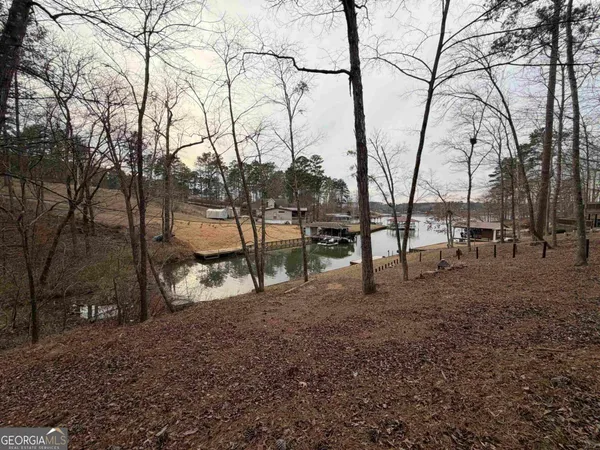 a view of outdoor space with lots of trees