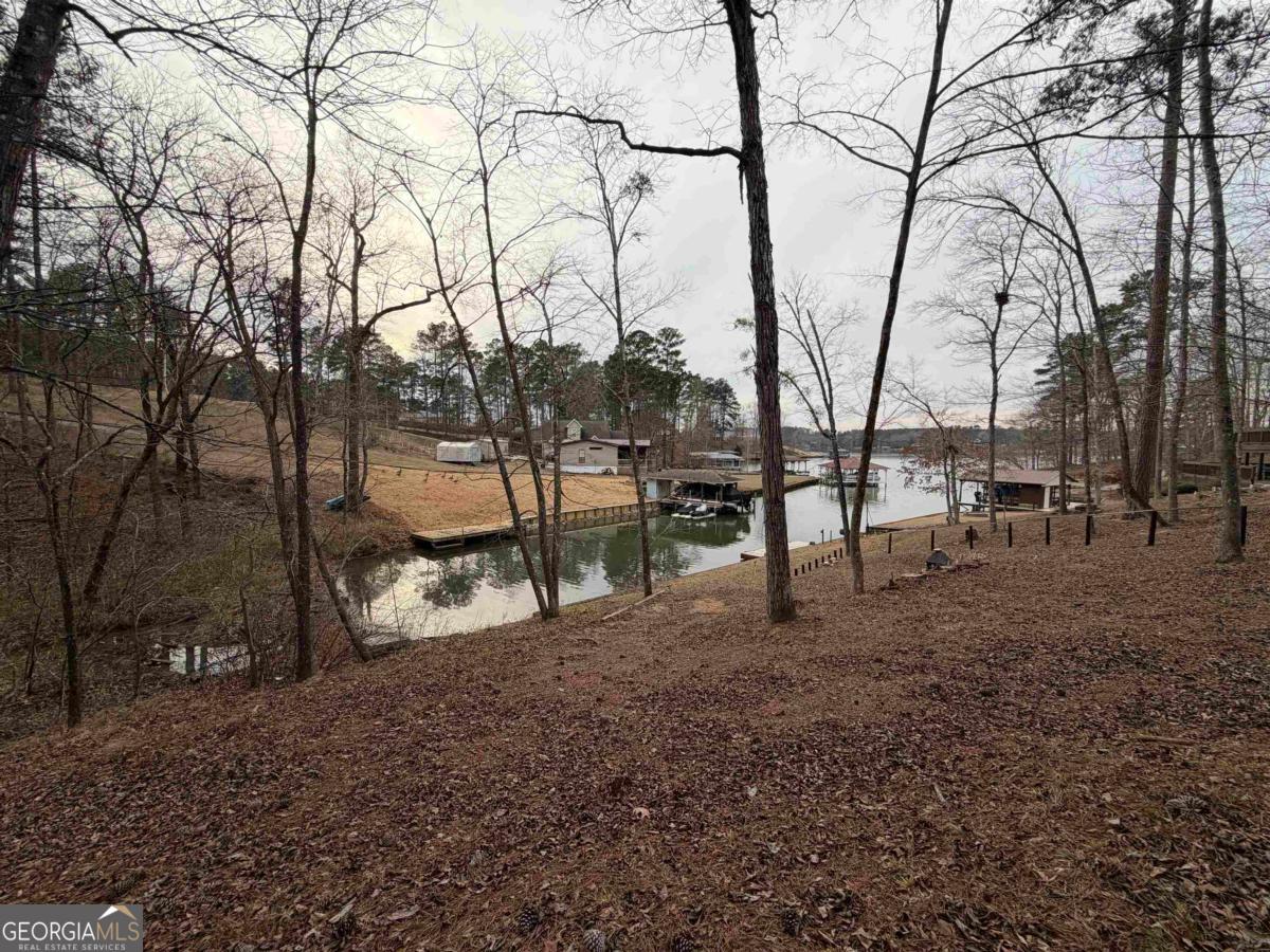 Lot 123 Lookout Trail Sparta, GA 31087 - Photo 14 of 16 a view of outdoor space with lots of trees