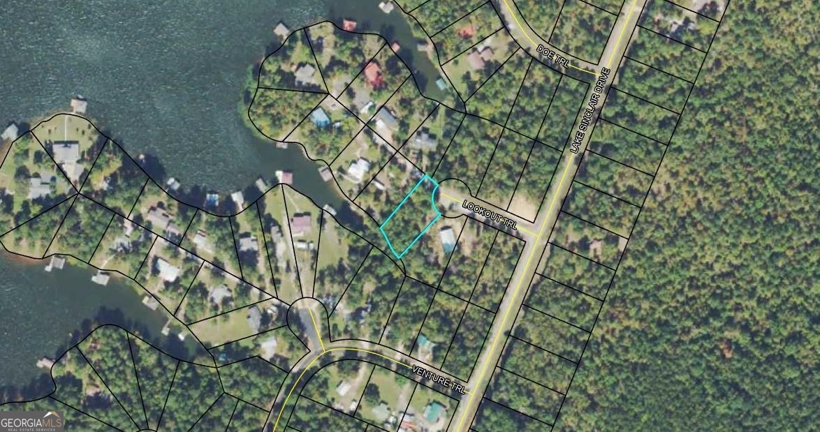 Lot 123 Lookout Trail Sparta, GA 31087 - Photo 15 of 16 a picture of tree