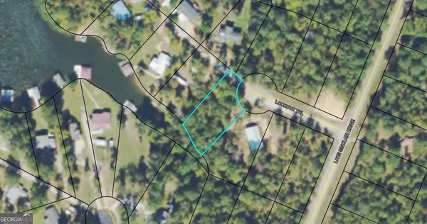 a map view of a tree