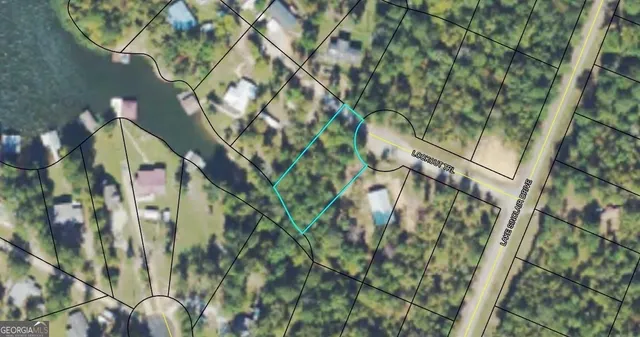 a map view of a tree