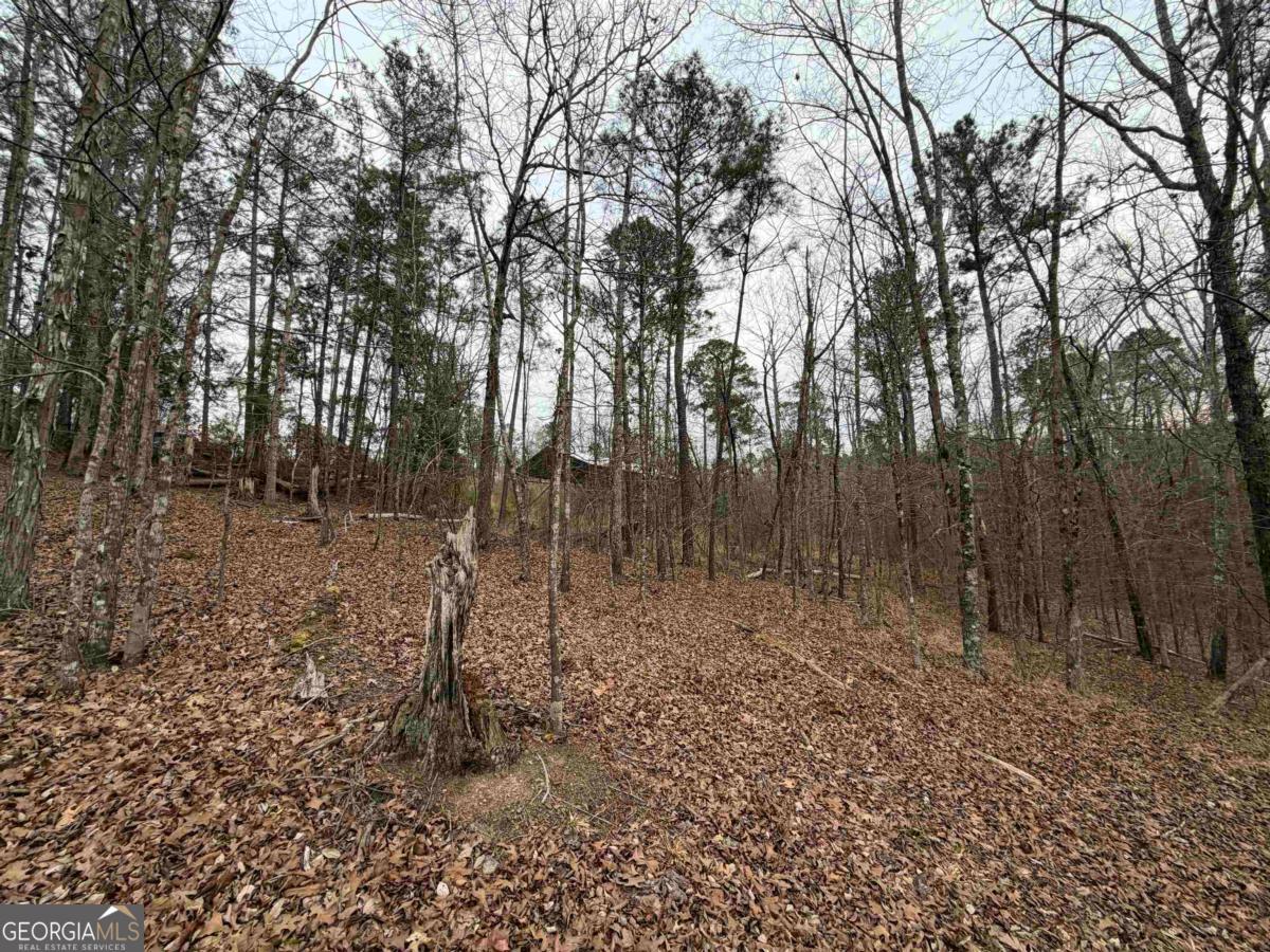 Lot 123 Lookout Trail Sparta, GA 31087 - Photo 4 of 16 a backyard of a house with lots of green space