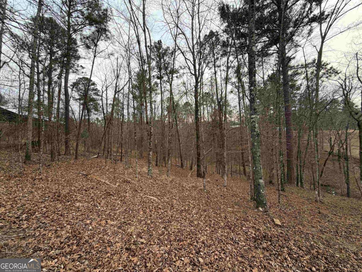 Lot 123 Lookout Trail Sparta, GA 31087 - Photo 5 of 16 a view of outdoor space with lots of trees
