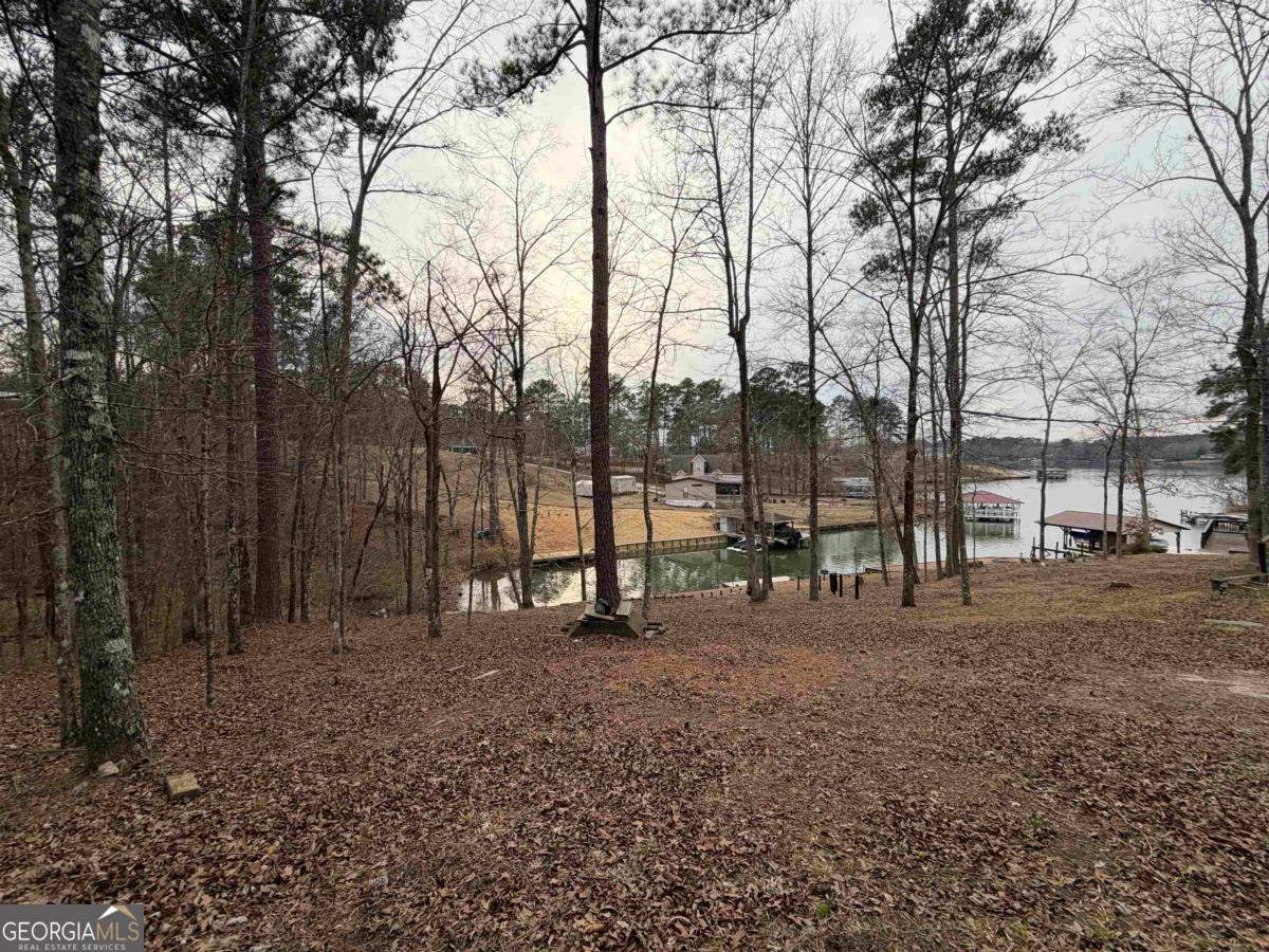 Lot 123 Lookout Trail Sparta, GA 31087 - Photo 6 of 16 a view of outdoor space with trees