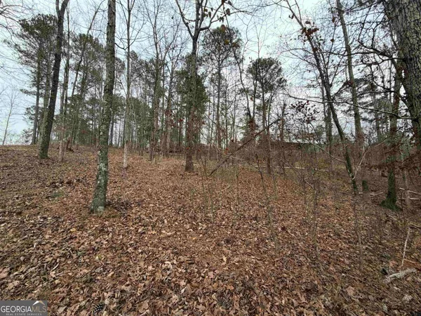a view of a forest with trees in the background