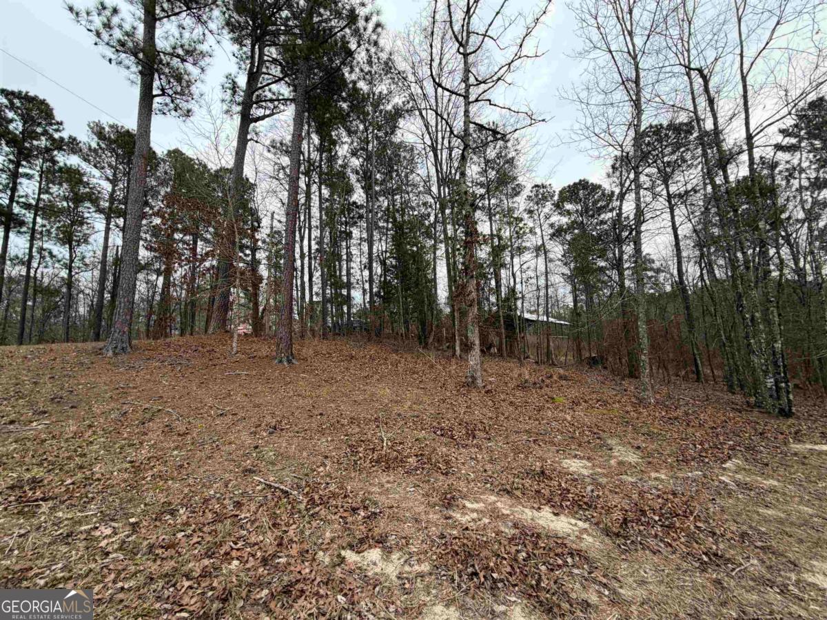 Lot 123 Lookout Trail Sparta, GA 31087 - Photo 8 of 16 a view of outdoor space with trees