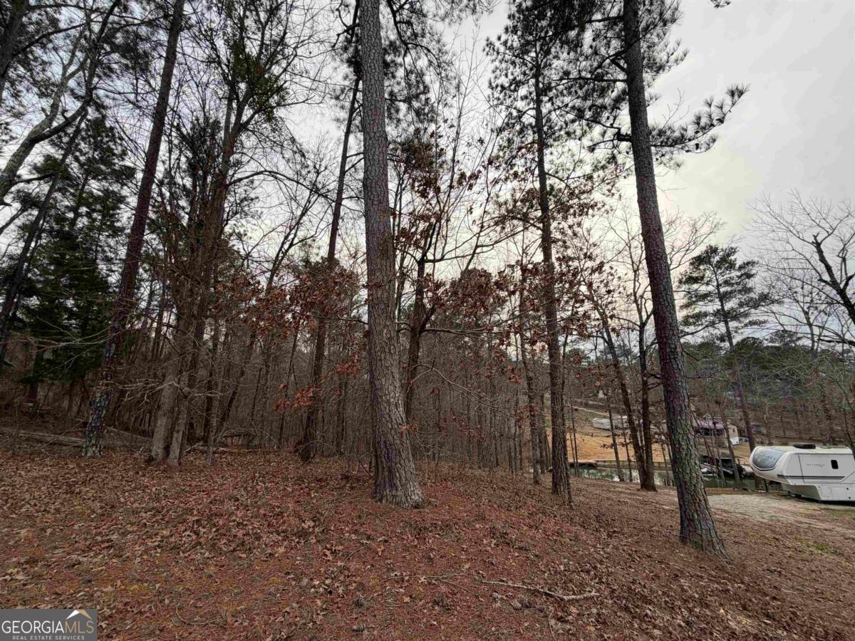 Lot 123 Lookout Trail Sparta, GA 31087 - Photo 9 of 16 a backyard of a house with lots of green space