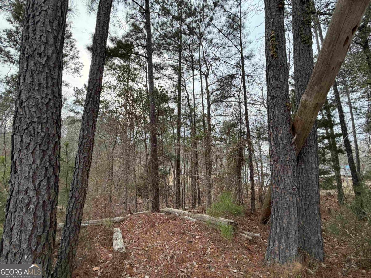 Lot 123 Lookout Trail Sparta, GA 31087 - Photo 10 of 16 a view of backyard with green space