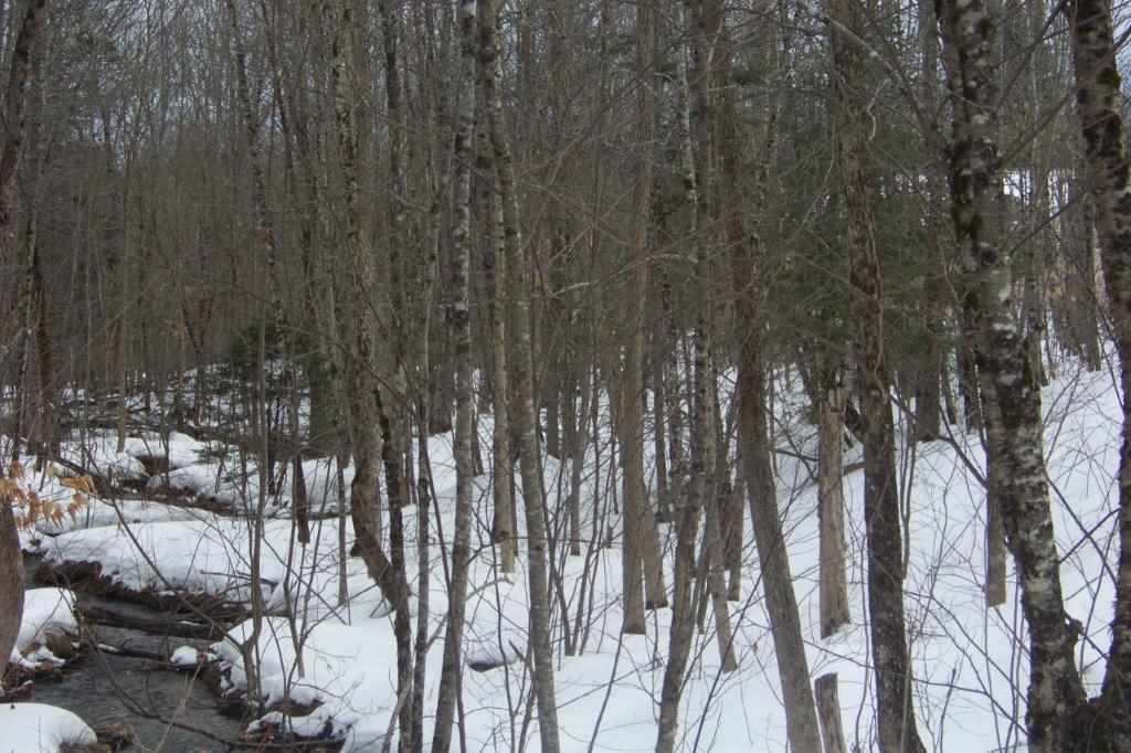 4 Smith Road Cornish, ME 04020 - Photo 23 of 28