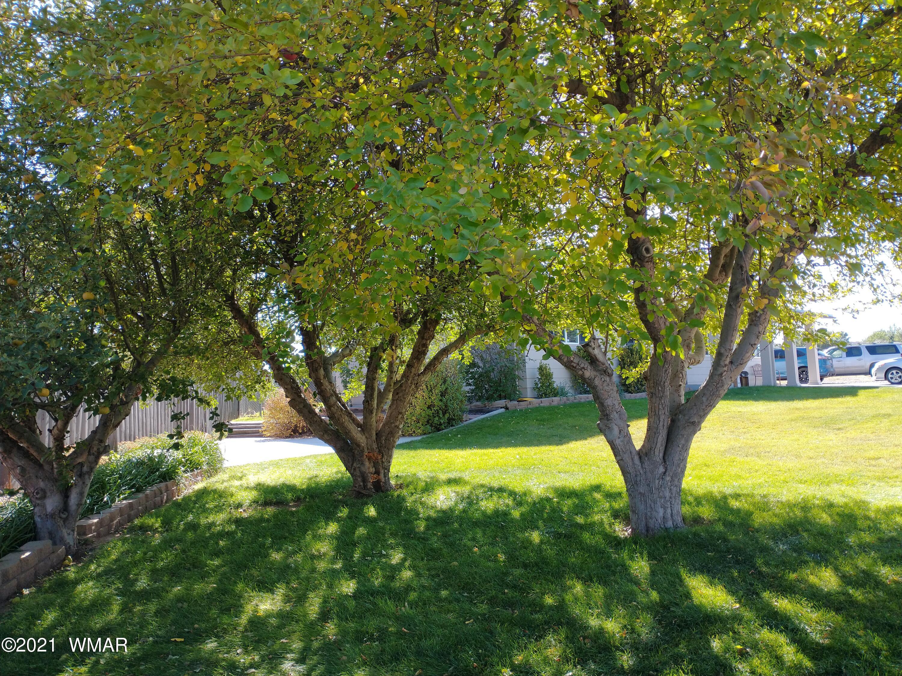 233 Ponderosa Trail Snowflake, AZ 85937 - Photo 5 of 38