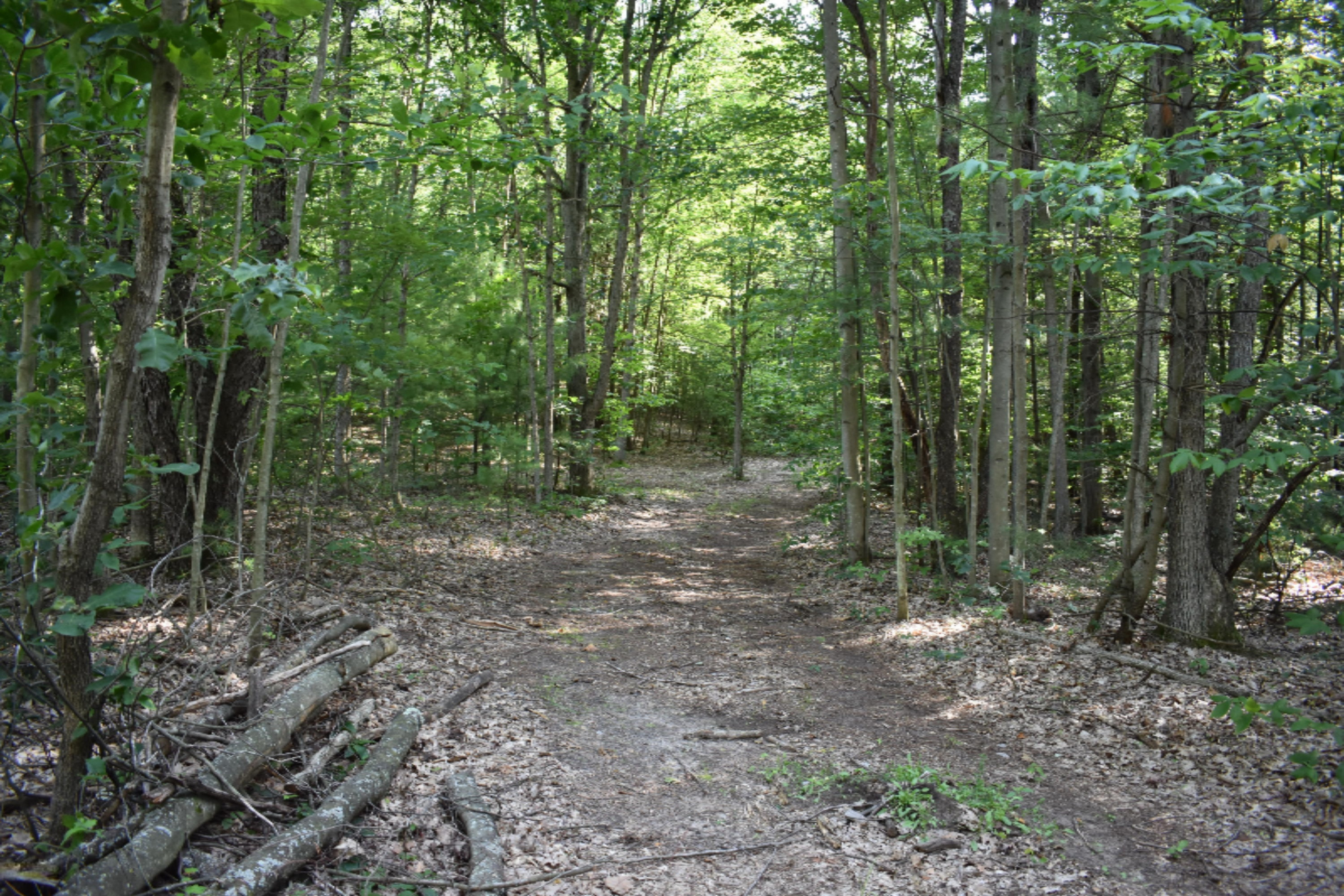 6026 128th Avenue Rothbury, MI 49452 - Photo 27 of 59 DSC_0039