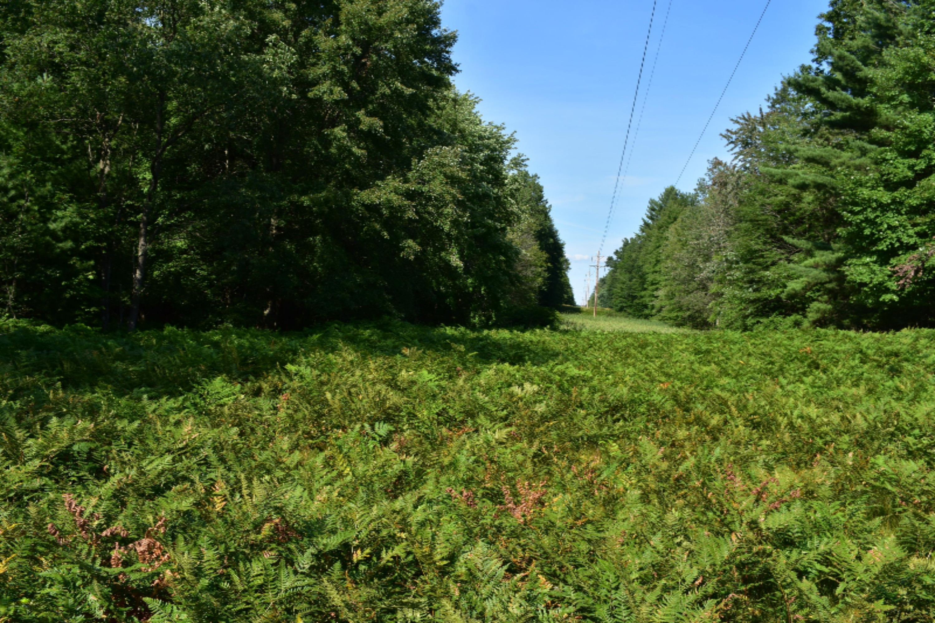 6026 128th Avenue Rothbury, MI 49452 - Photo 45 of 59 DSC_0019