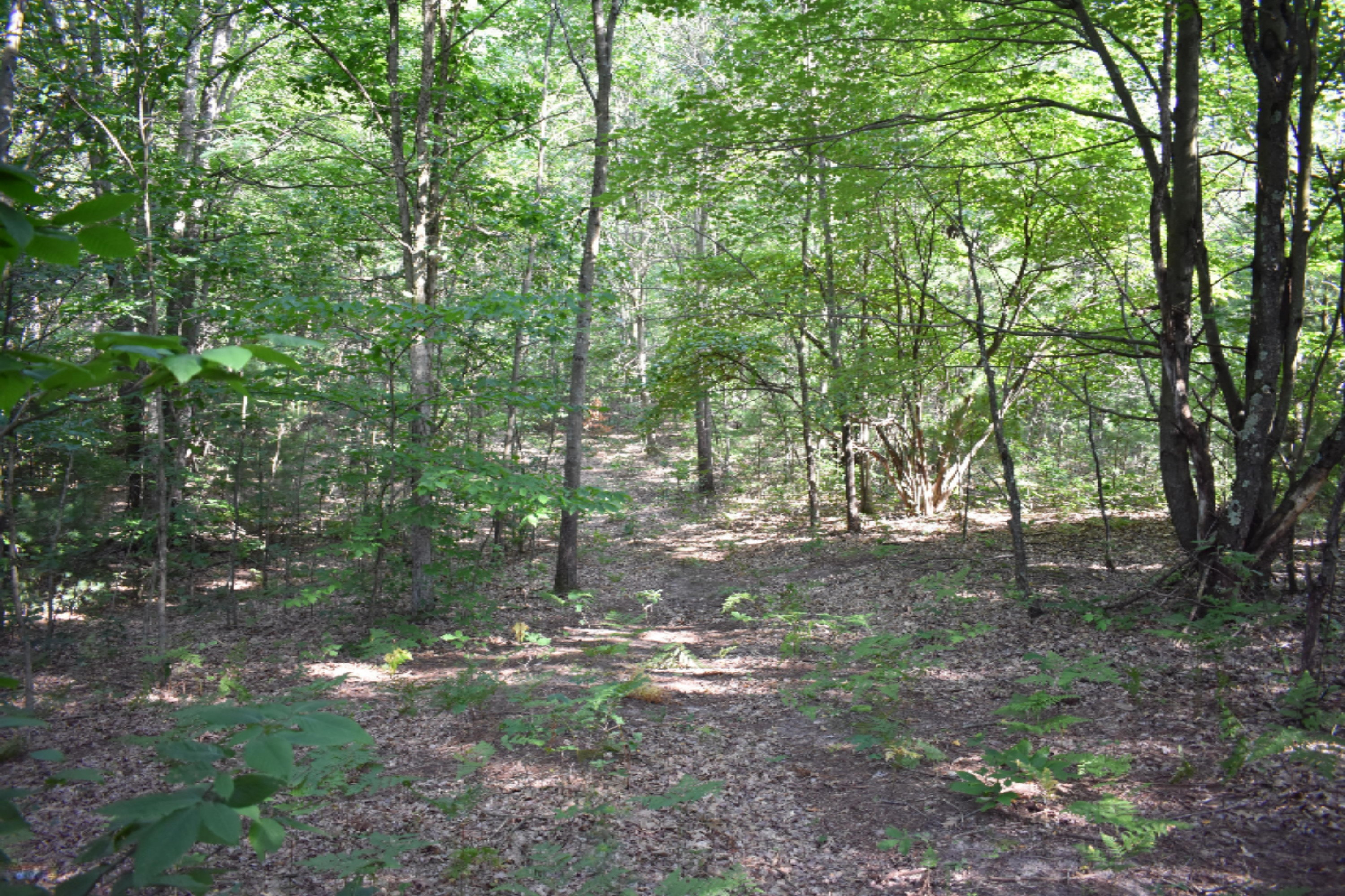 6026 128th Avenue Rothbury, MI 49452 - Photo 54 of 59 DSC_0033