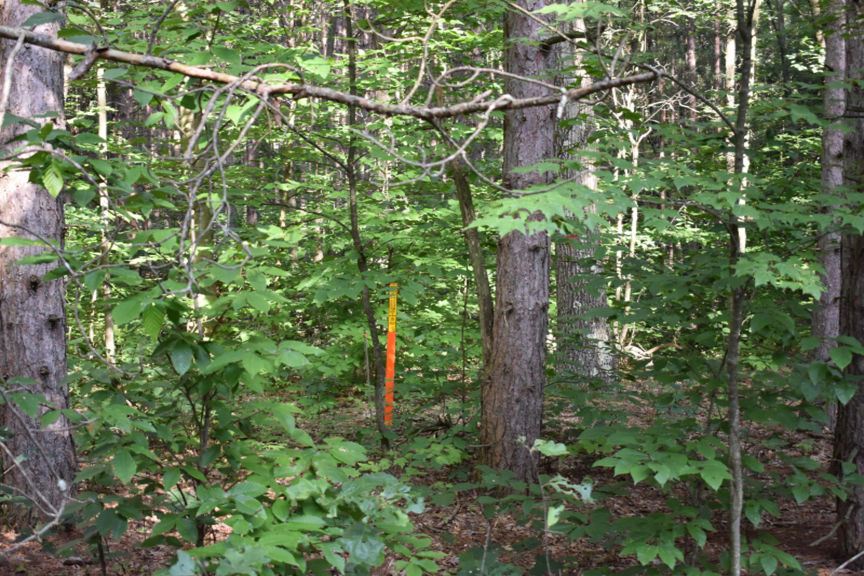 6026 128th Avenue Rothbury, MI 49452 - Photo 56 of 59 DSC_0036
