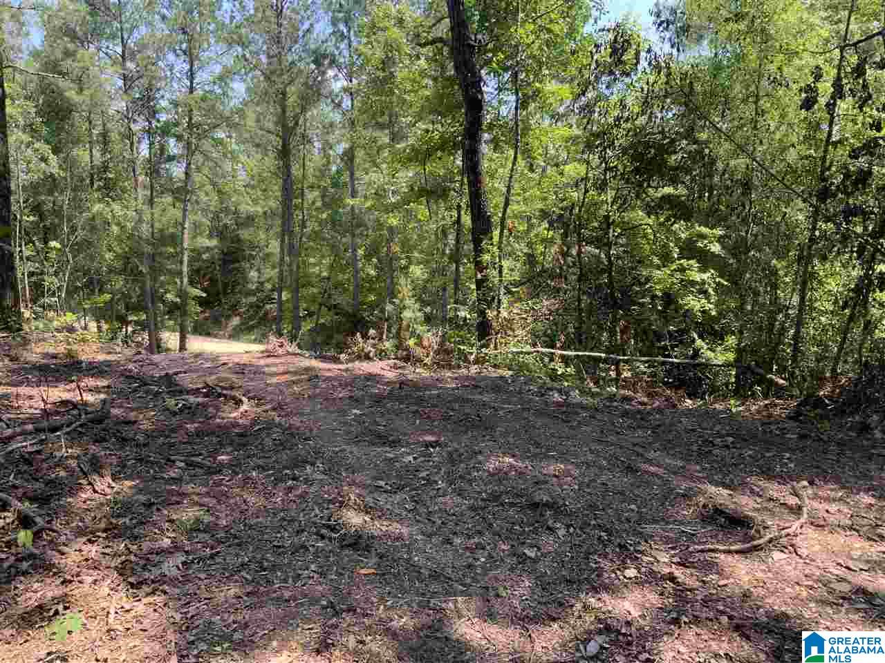 0 County Road 199, Unit 19 / ACRES Clanton, AL 35046 - Photo 4 of 17