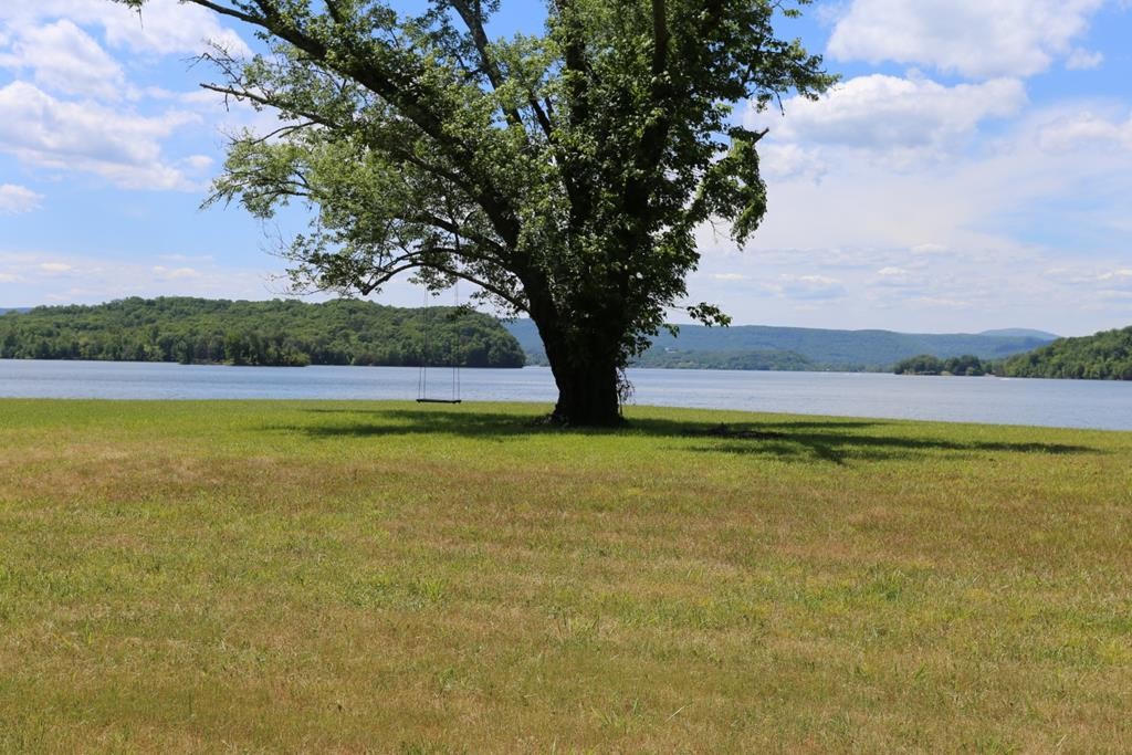 0 Blue Heron Lane Spring City, TN 37381 - Photo 25 of 32 Gallery Image 25