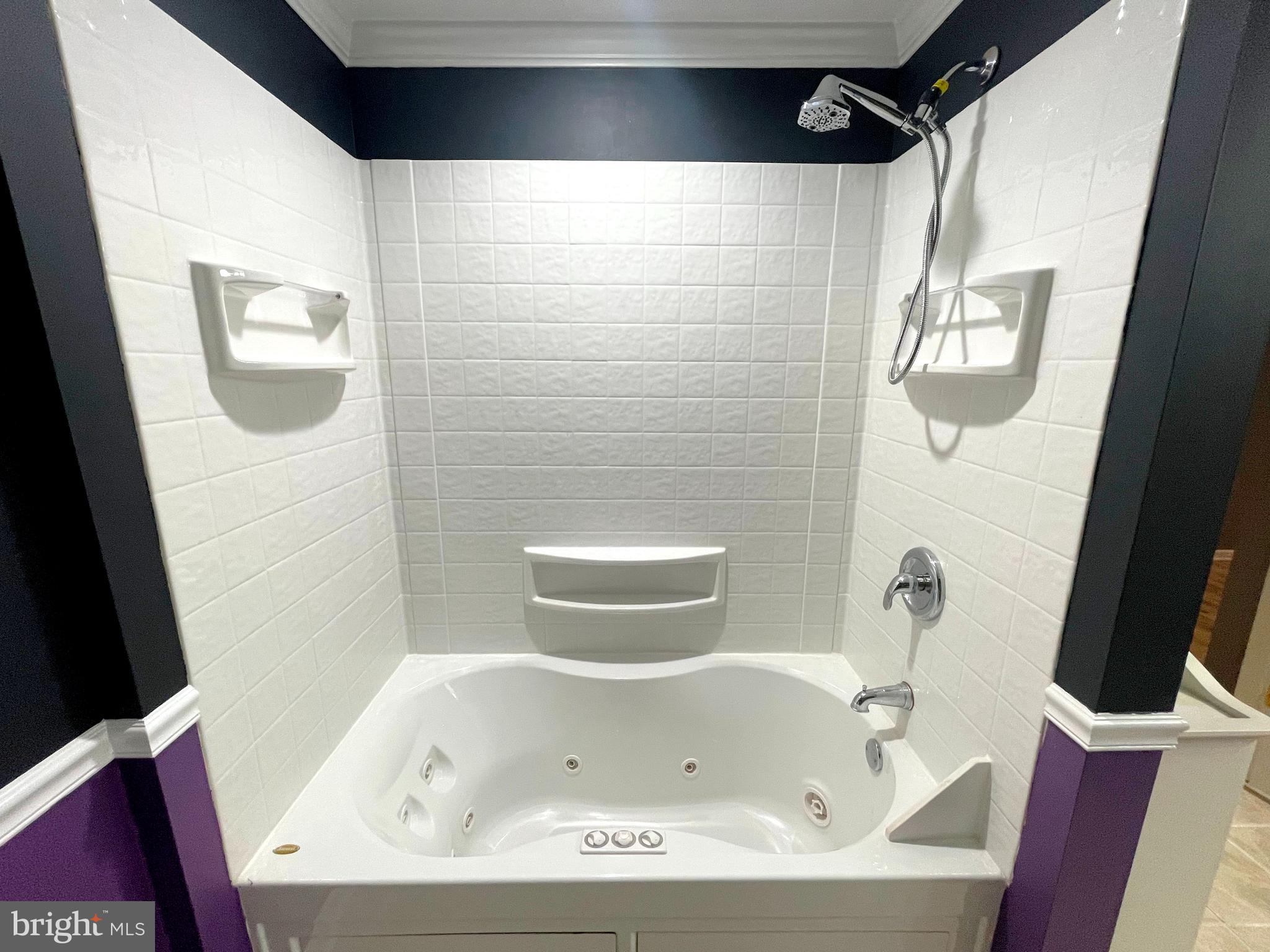 20871 Freedom Run Drive Lexington Park, MD 20653 - Photo 51 of 61 a bathroom with a white bath tub and a shower