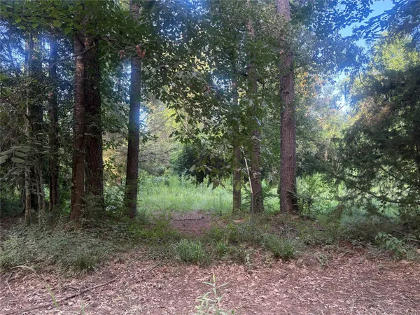 $39,999 | 23881 Simpson Lane, Livingston, TX 77351